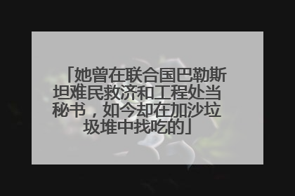 她曾在联合国巴勒斯坦难民救济和工程处当秘书，如今却在加沙垃圾堆中找吃的