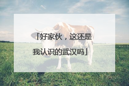 好家伙，这还是我认识的武汉吗