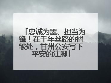 忠诚为墨、担当为锋！在千年丝路的褶皱处，甘州公安写下平安的注脚