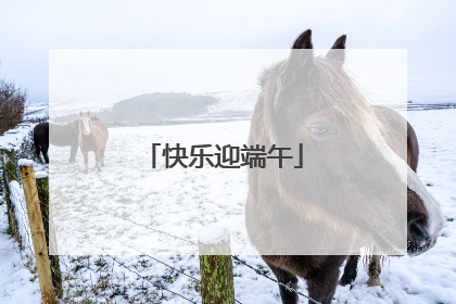 快乐迎端午