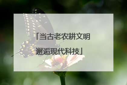 当古老农耕文明邂逅现代科技