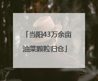 当阳43万余亩油菜颗粒归仓