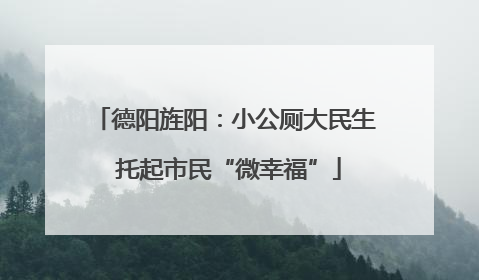 德阳旌阳：小公厕大民生 托起市民“微幸福”