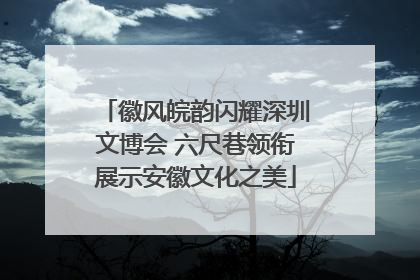 徽风皖韵闪耀深圳文博会 六尺巷领衔展示安徽文化之美