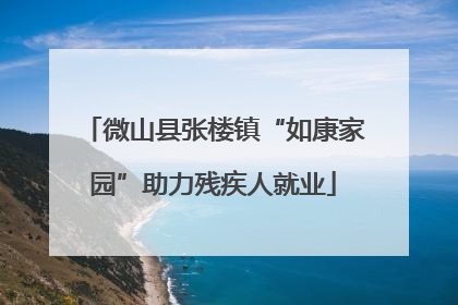 微山县张楼镇“如康家园”助力残疾人就业