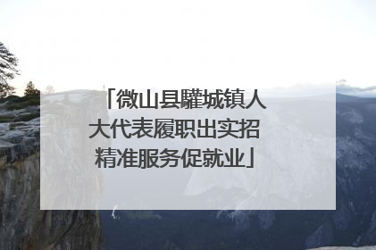 微山县驩城镇人大代表履职出实招精准服务促就业