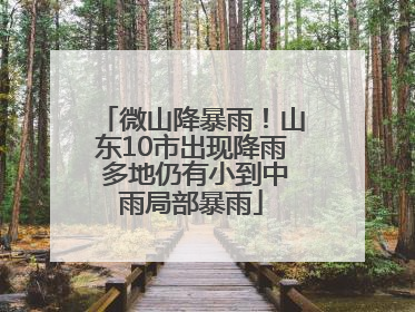 微山降暴雨！山东10市出现降雨 多地仍有小到中雨局部暴雨