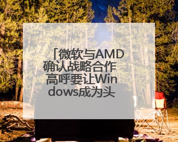 微软与AMD确认战略合作 高呼要让Windows成为头号游戏平台