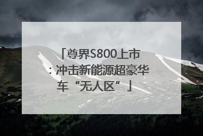 尊界S800上市：冲击新能源超豪华车“无人区”
