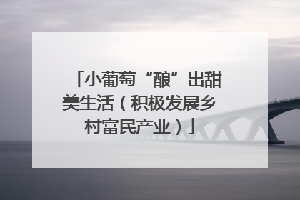 小葡萄“酿”出甜美生活（积极发展乡村富民产业）