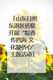 山东日照东港区侨联开展“粽香传四海 文化凝侨心”主题活动