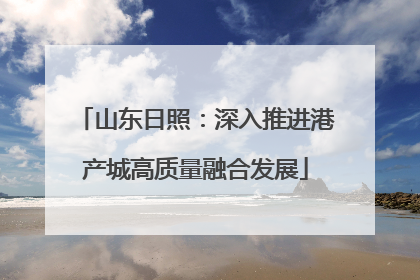 山东日照：深入推进港产城高质量融合发展