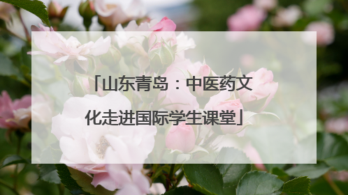 山东青岛：中医药文化走进国际学生课堂