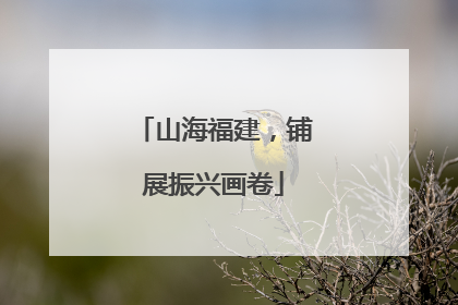 山海福建，铺展振兴画卷