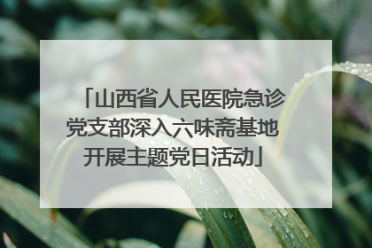 山西省人民医院急诊党支部深入六味斋基地开展主题党日活动