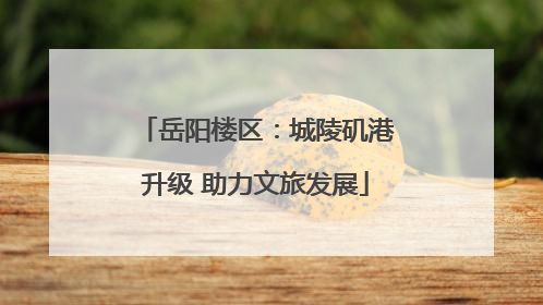 岳阳楼区：城陵矶港升级 助力文旅发展