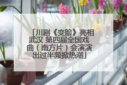 川剧《变脸》亮相武汉 第四届全国戏曲（南方片）会演演出过半频掀热潮