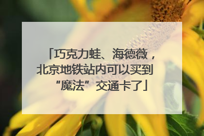 巧克力蛙、海德薇，北京地铁站内可以买到“魔法”交通卡了