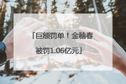 巨额罚单！金穗春被罚1.06亿元