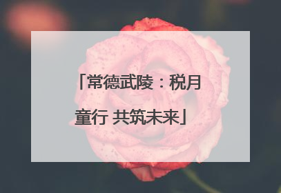常德武陵：税月童行 共筑未来