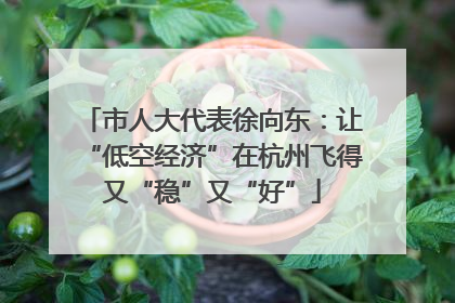 市人大代表徐向东：让“低空经济”在杭州飞得又“稳”又“好”
