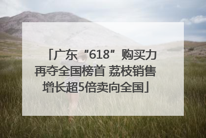 广东“618”购买力再夺全国榜首 荔枝销售增长超5倍卖向全国