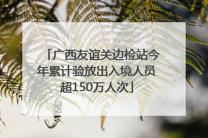广西友谊关边检站今年累计验放出入境人员超150万人次
