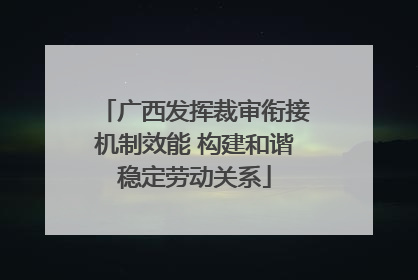 广西发挥裁审衔接机制效能 构建和谐稳定劳动关系