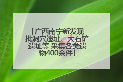 广西南宁新发现一批洞穴遗址、大石铲遗址等 采集各类遗物400余件
