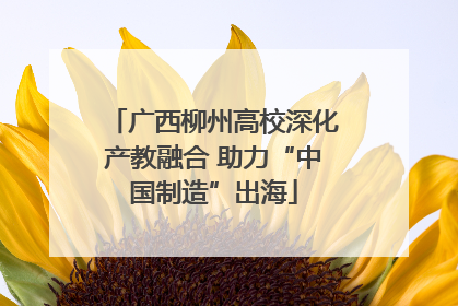 广西柳州高校深化产教融合 助力“中国制造”出海