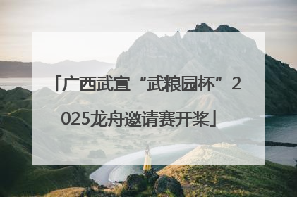 广西武宣“武粮园杯”2025龙舟邀请赛开桨