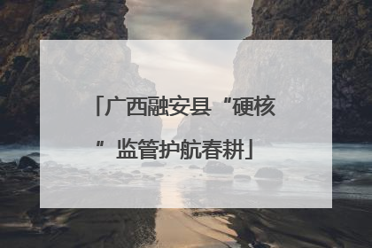 广西融安县“硬核”监管护航春耕