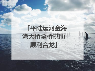 平陆运河金海湾大桥全桥拱肋顺利合龙