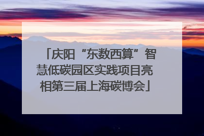 庆阳“东数西算”智慧低碳园区实践项目亮相第三届上海碳博会