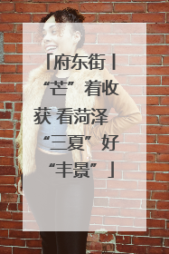 府东街丨“芒”着收获 看菏泽“三夏”好“丰景”