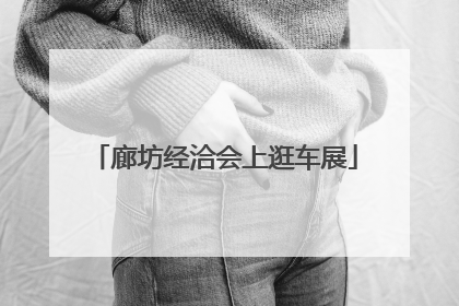 廊坊经洽会上逛车展