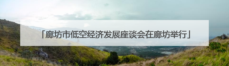 廊坊市低空经济发展座谈会在廊坊举行