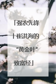 强农先锋丨崔洪海的“黄金叶”致富经