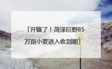开镰了！菏泽巨野85万亩小麦进入收割期