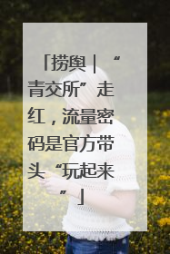 捞舆｜“青交所”走红，流量密码是官方带头“玩起来”