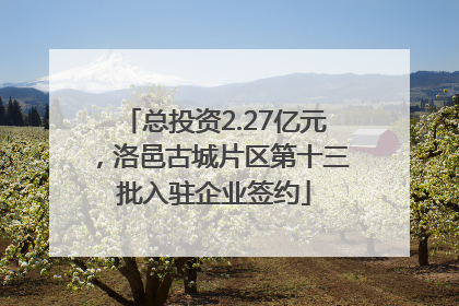 总投资2.27亿元，洛邑古城片区第十三批入驻企业签约