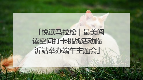 悦读马拉松｜最美阅读空间打卡挑战活动临沂站举办端午主题会