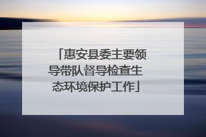 惠安县委主要领导带队督导检查生态环境保护工作