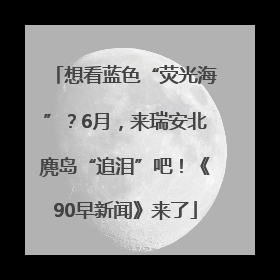 想看蓝色“荧光海”？6月，来瑞安北麂岛“追泪”吧！《90早新闻》来了