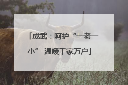 成武：呵护“一老一小” 温暖千家万户