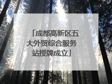 成都高新区五大外贸综合服务站授牌成立
