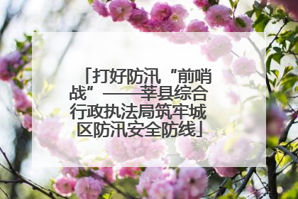 打好防汛“前哨战”——莘县综合行政执法局筑牢城区防汛安全防线