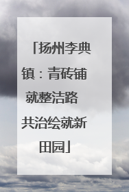 扬州李典镇：青砖铺就整洁路 共治绘就新田园