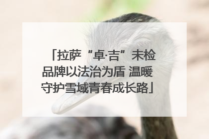 拉萨“卓·吉”未检品牌以法治为盾 温暖守护雪域青春成长路
