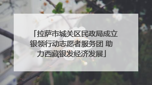 拉萨市城关区民政局成立银领行动志愿者服务团 助力西藏银发经济发展